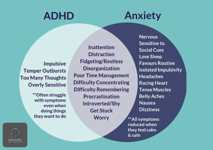 adhd and anxiety Understanding the Key Differences and Treatments