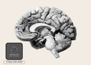 understanding false memory ocd patterns