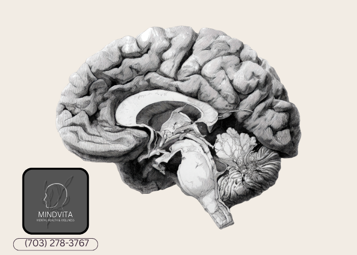 understanding false memory ocd patterns