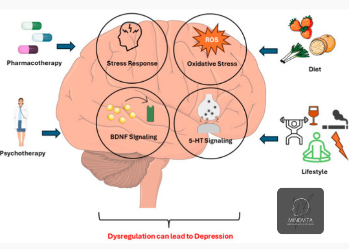how buspirone works in the brain-receptor‑level insights