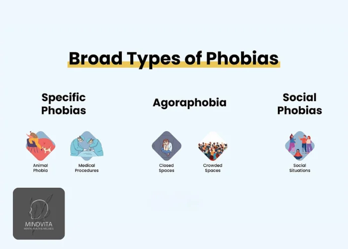types of phobias anxiety disorders and psychological insights